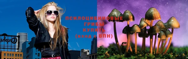 ГАЛЛЮЦИНОГЕННЫЕ ГРИБЫ Алапаевск