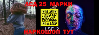ALPHA PVP Гай