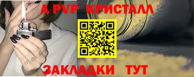 ALPHA PVP Гай