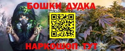 ALPHA PVP Гай