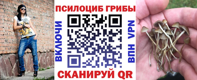 Галлюциногенные грибы ЛСД  продажа наркотиков  ссылка на мегу зеркало  Гагарин 