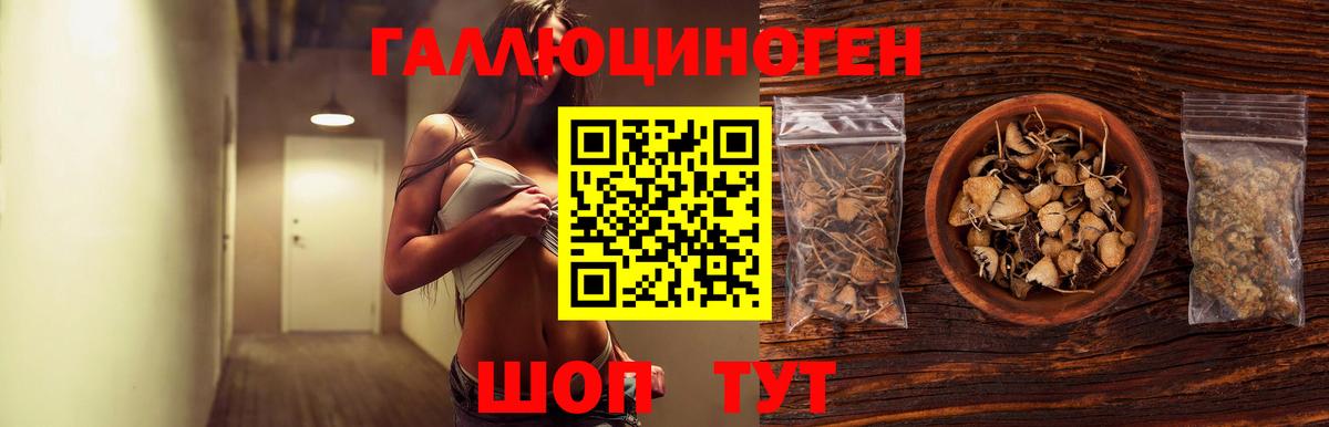 Псилоцибиновые грибы Psilocybine cubensis  Гагарин 