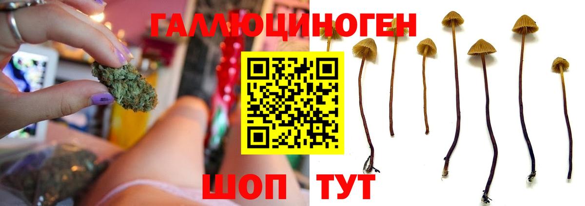 Гагарин  Галлюциногенные грибы мицелий  Галлюциногенные грибы GOLDEN TEACHER  Вход с VPN 
